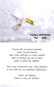 colombe portant des feuilles et des textes